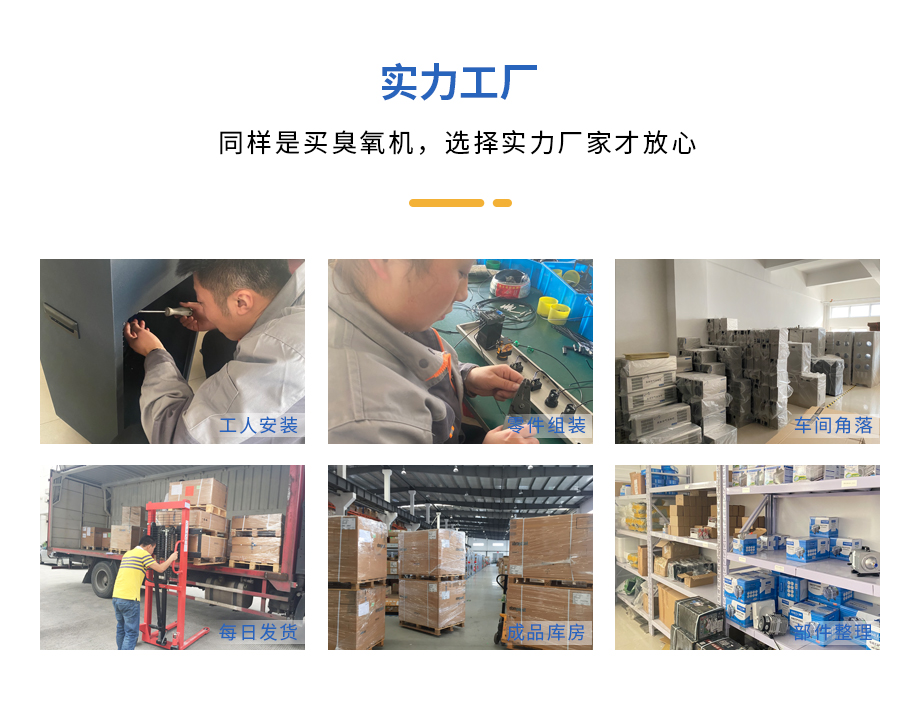 水处理臭氧发生器厂家 水处理臭氧发生器厂家