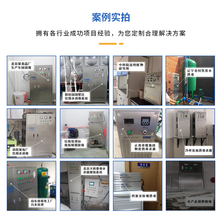 水处理臭氧发生器厂家 水处理臭氧发生器厂家